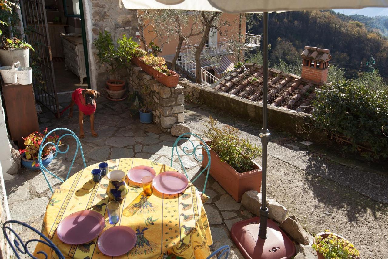 Chezcatherine Villa Sarzana Exterior foto