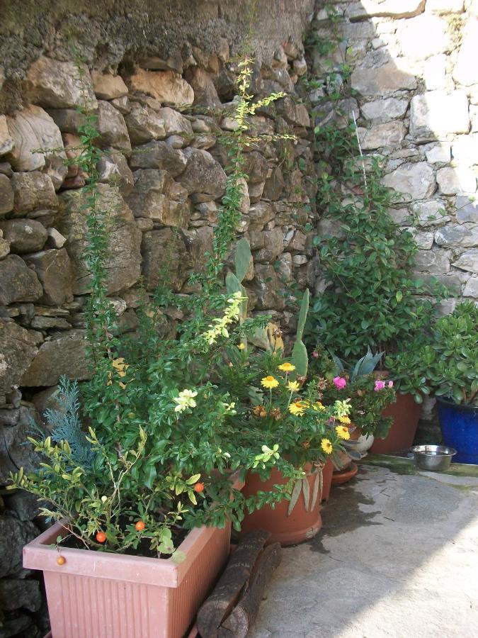 Chezcatherine Villa Sarzana Exterior foto